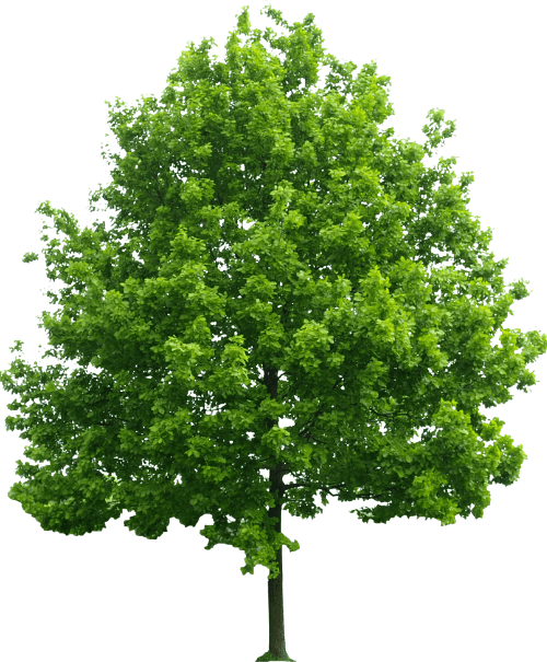 Expert Fence Installation, Repair, and Tree Services in Lafayette, IN | Doin' It Wells
