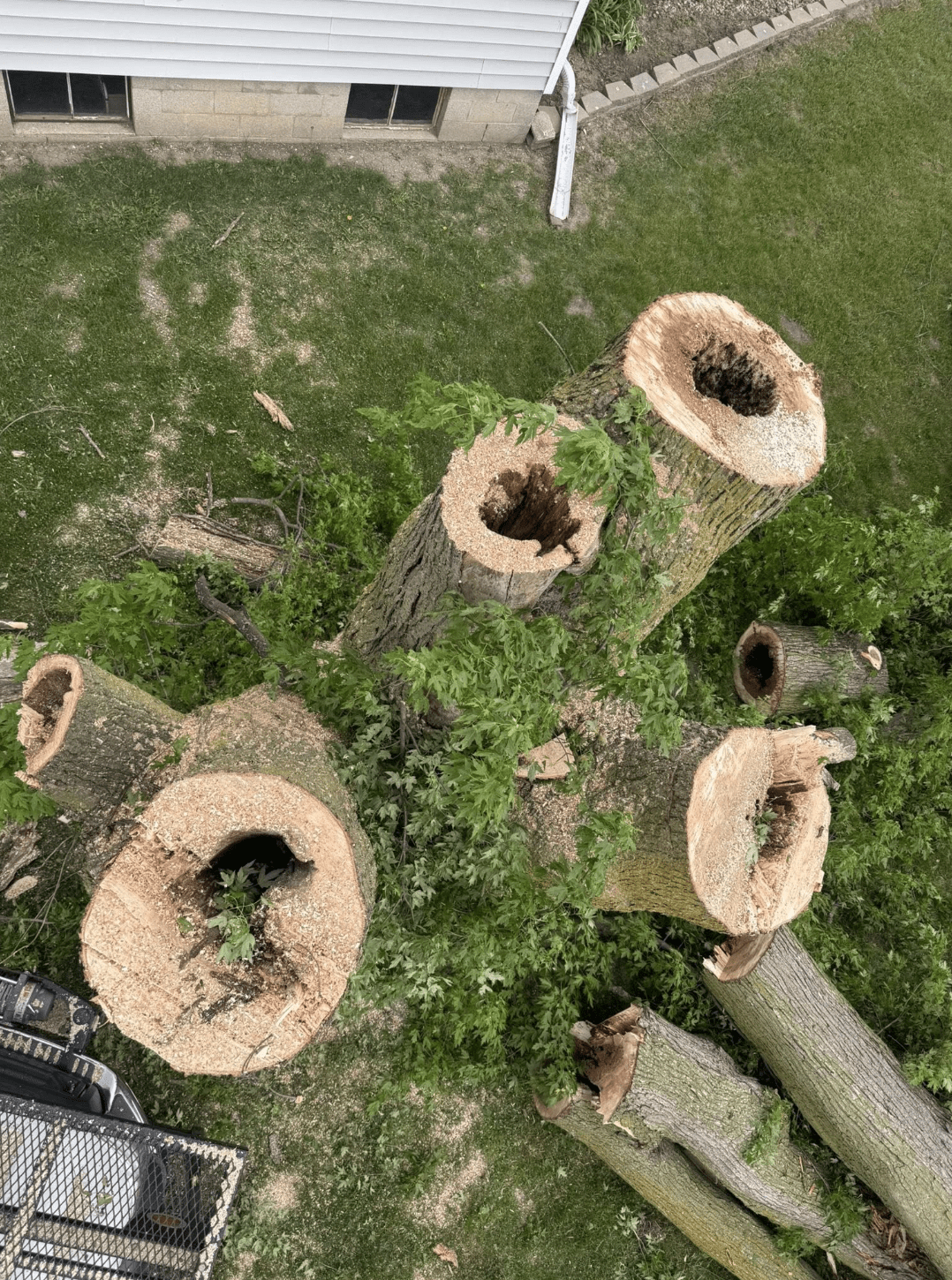 Lafayette Stump Grinding Service | Doin' It Wells