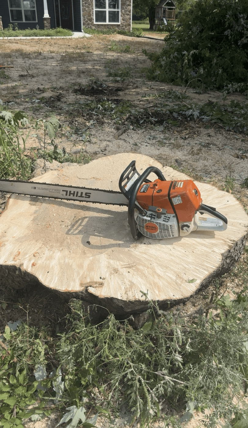 Lafayette Stump Grinding Service | Doin' It Wells