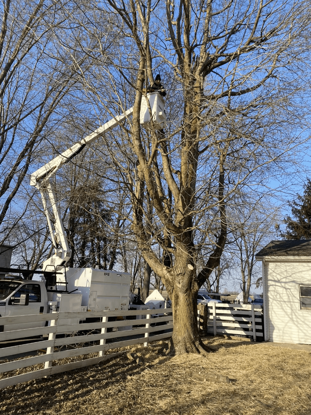 Tree Services Lafayette IN | Doin' It Wells