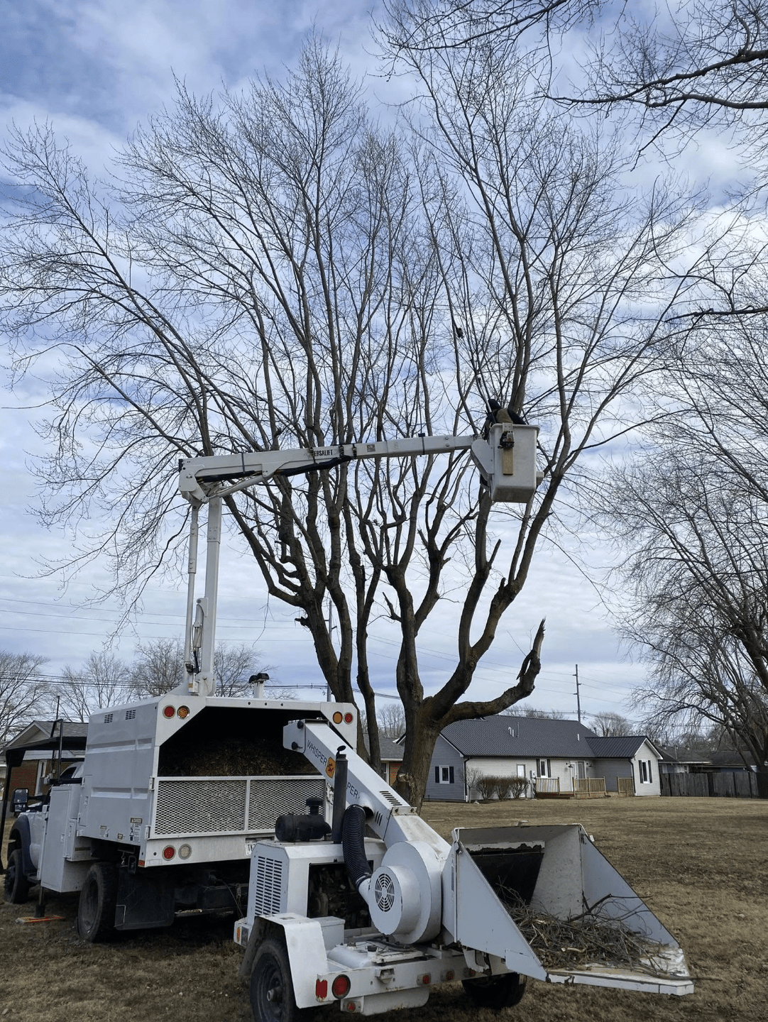 West Lafayette Tree Trimming Service